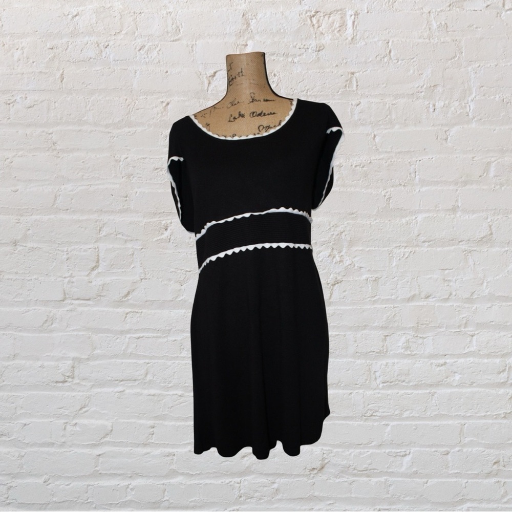 Express Short Sleeved Sweater Dress